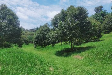 Jalan Mahagoni 2a/7, Pekan Batang Kali