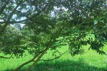 Jalan Mahagoni 2a/7, Pekan Batang Kali