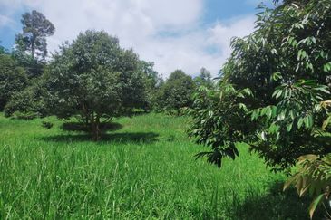 Jalan Mahagoni 2a/7, Pekan Batang Kali