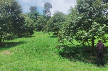 Jalan Mahagoni 2a/7, Pekan Batang Kali