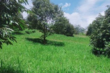 Jalan Mahagoni 2a/7, Pekan Batang Kali