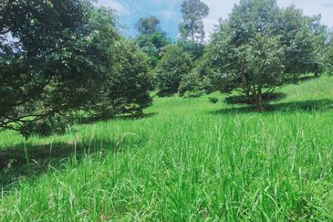 Jalan Mahagoni 2a/7, Pekan Batang Kali