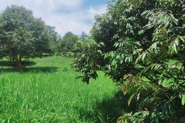 Jalan Mahagoni 2a/7, Pekan Batang Kali