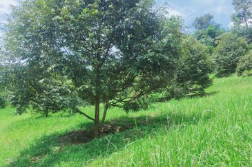 Jalan Mahagoni 2a/7, Pekan Batang Kali