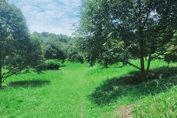 Jalan Mahagoni 2a/7, Pekan Batang Kali