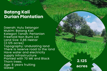 Jalan Mahagoni 2a/7, Pekan Batang Kali