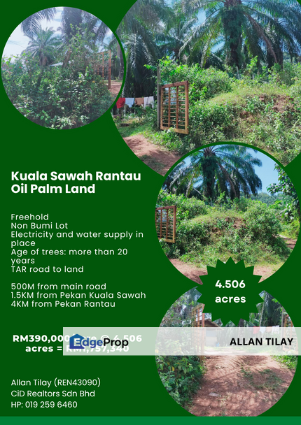 Kuala Sawah Rantau Oil Palm Land, Negeri Sembilan, Seremban