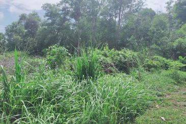 JALAN PANTAI PORT DICKSON