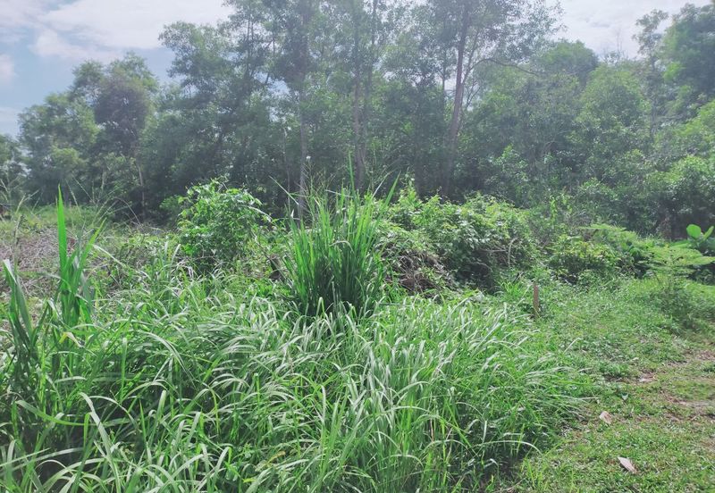 JALAN PANTAI PORT DICKSON
