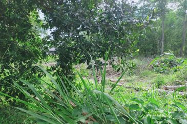 JALAN PANTAI PORT DICKSON