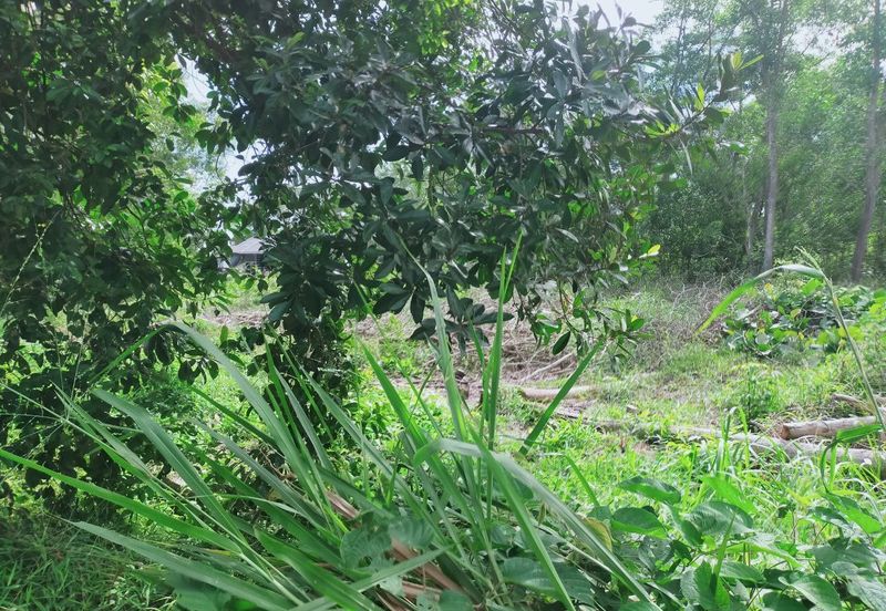 JALAN PANTAI PORT DICKSON