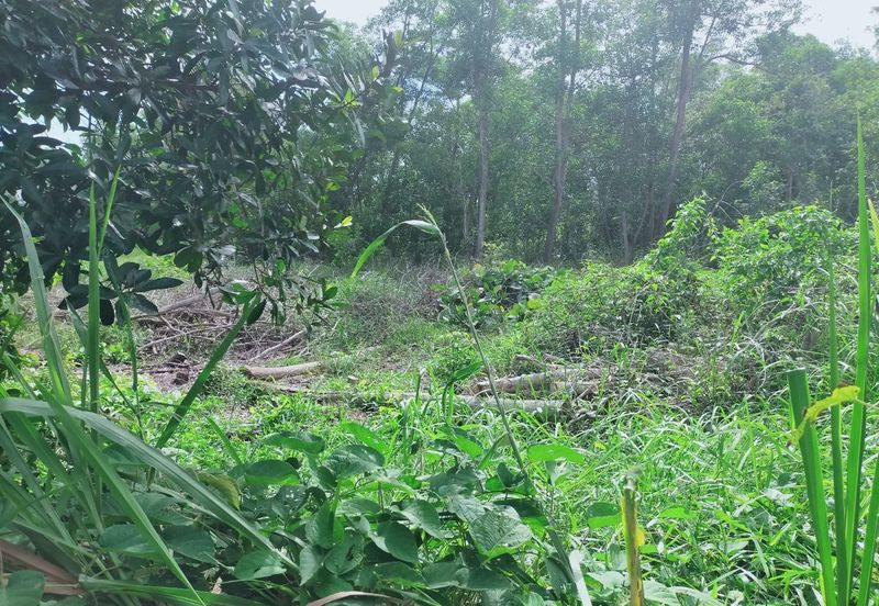 JALAN PANTAI PORT DICKSON