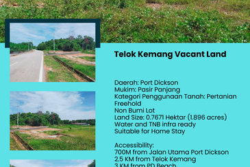 Teluk Kemang