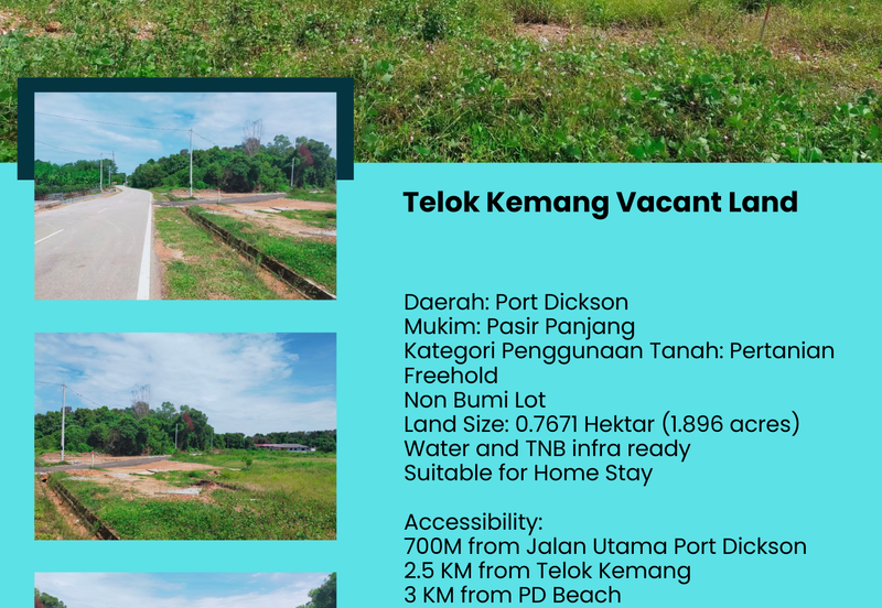 Teluk Kemang