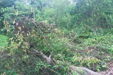 Taman Bukit Sapphire