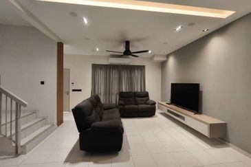 Villosa (Cryptocoryne Series), Setia Alam