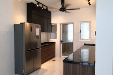 Villosa (Cryptocoryne Series), Setia Alam