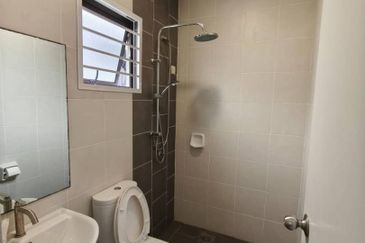 Villosa (Cryptocoryne Series), Setia Alam