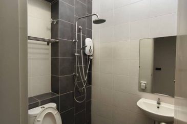 Villosa (Cryptocoryne Series), Setia Alam