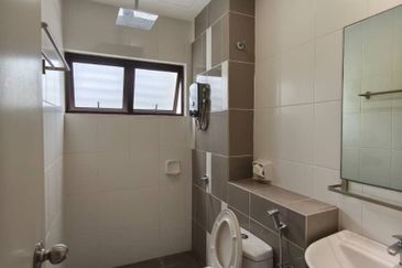 Villosa (Cryptocoryne Series), Setia Alam