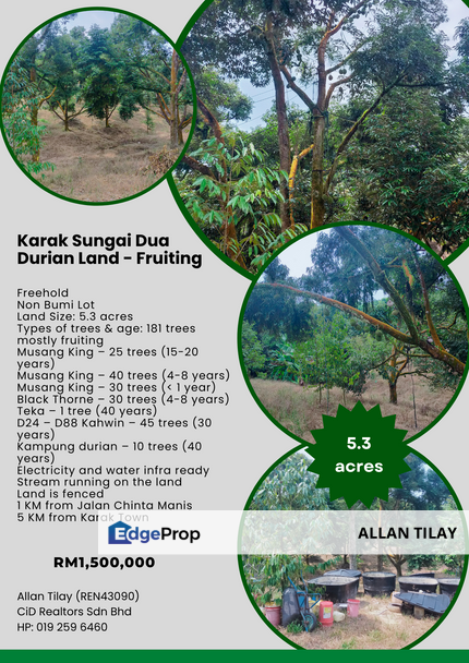 Karak Sungai Dua Durian Land, Pahang, Karak