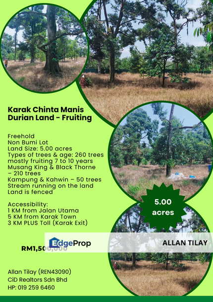 Karak Chinta Manis Durian Land, Pahang, Karak