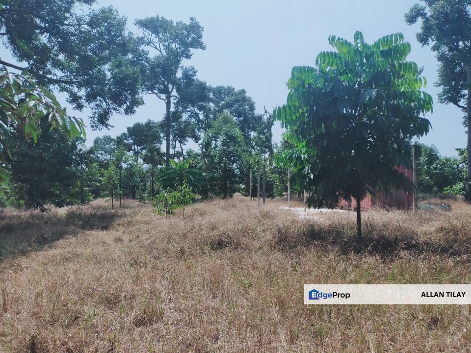Karak Chinta Manis Durian Land, Pahang, Karak