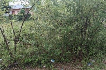 TAMAN MEWAH, BATU GAJAH