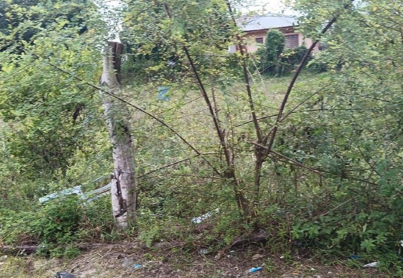 TAMAN MEWAH, BATU GAJAH