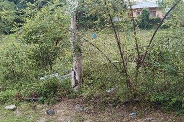 TAMAN MEWAH, BATU GAJAH