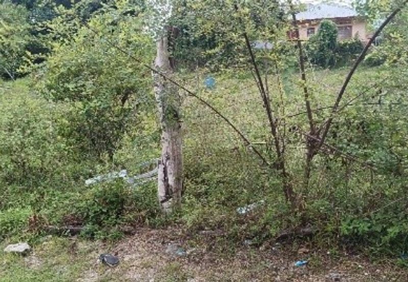 TAMAN MEWAH, BATU GAJAH