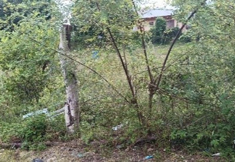 TAMAN MEWAH, BATU GAJAH