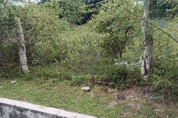 TAMAN MEWAH, BATU GAJAH