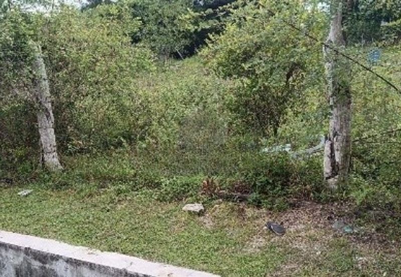 TAMAN MEWAH, BATU GAJAH