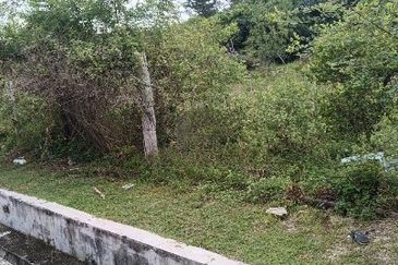 TAMAN MEWAH, BATU GAJAH