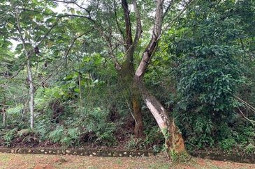 Bandar Bukit Beruntung