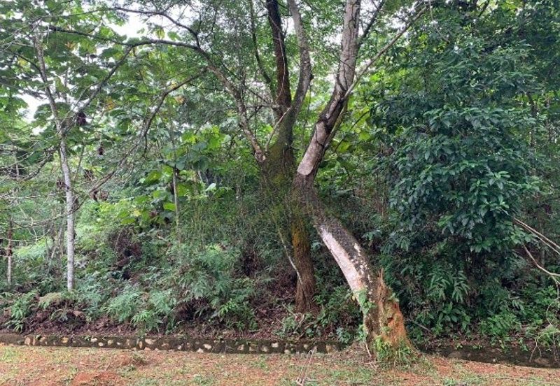 Bandar Bukit Beruntung