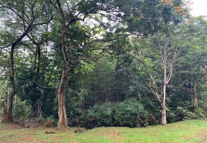 Bandar Bukit Beruntung