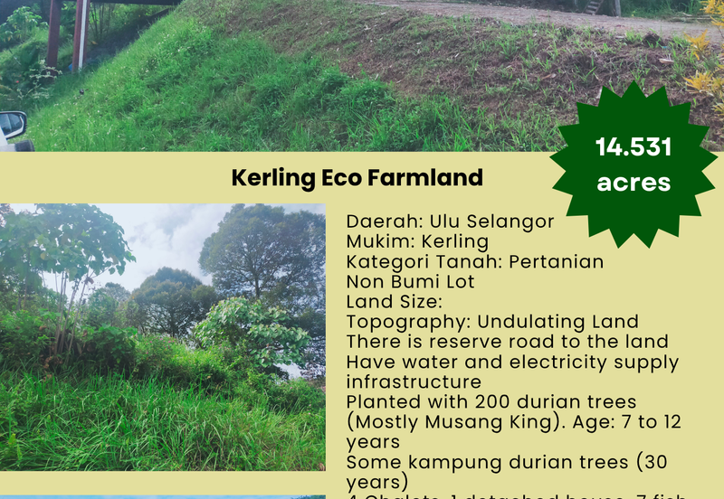 Kerling Industrial Land