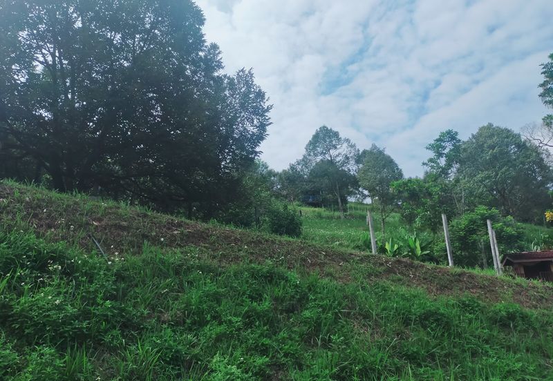 Kerling Industrial Land