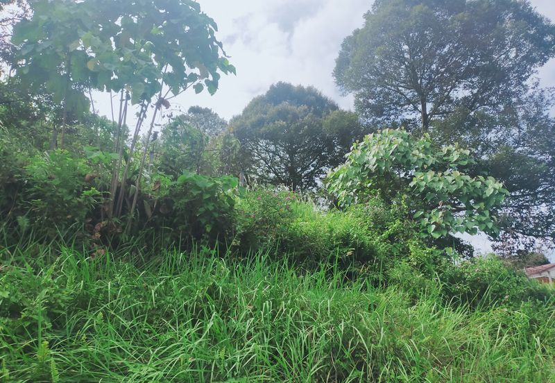 Kerling Industrial Land