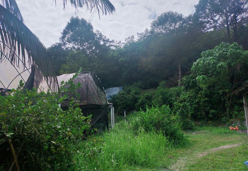 Kerling Industrial Land