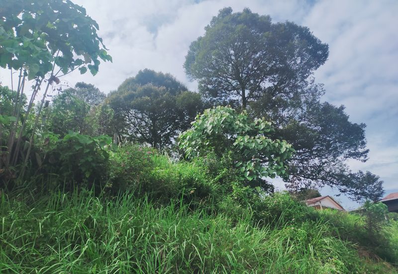 Kerling Industrial Land