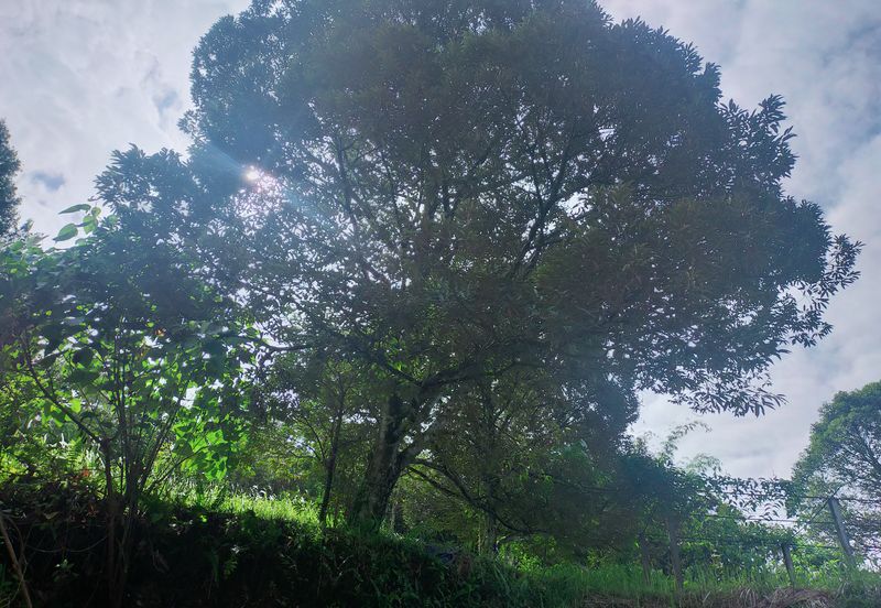 Kerling Industrial Land