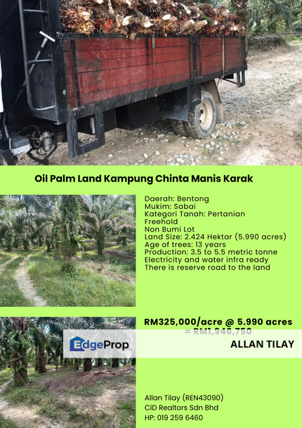 Oil Palm Land Kampung Chinta Manis Karak, Pahang, Karak