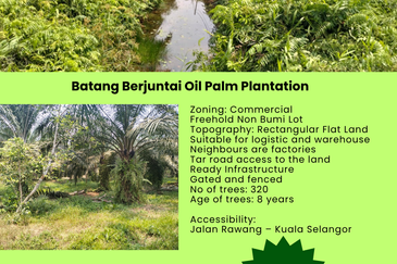 Batang Berjuntai @ Bestari Jaya