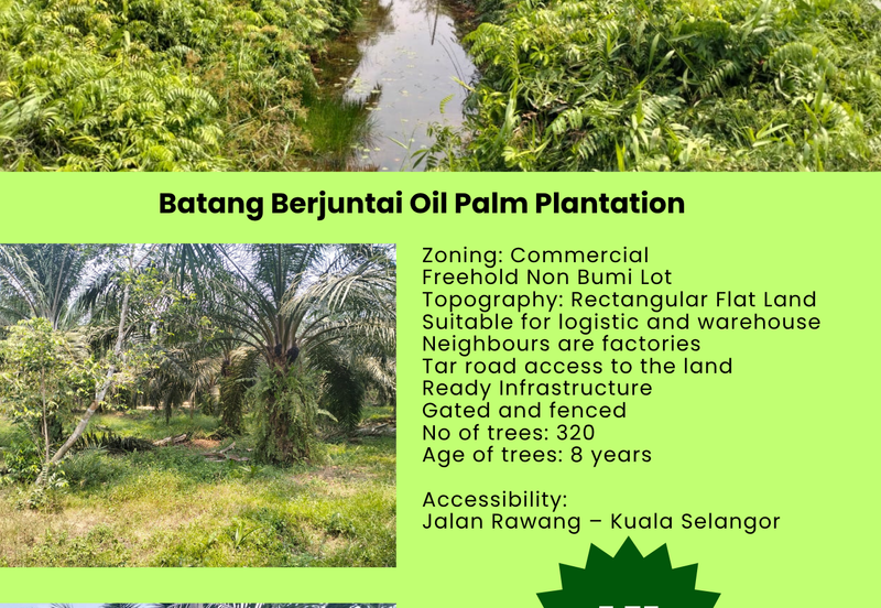 Batang Berjuntai @ Bestari Jaya