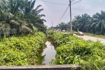 Batang Berjuntai @ Bestari Jaya