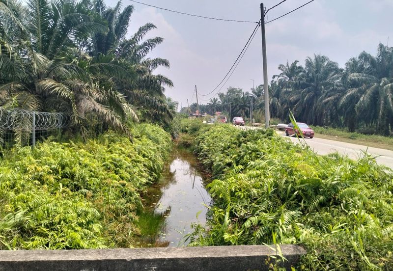 Batang Berjuntai @ Bestari Jaya