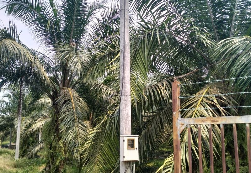 Batang Berjuntai @ Bestari Jaya